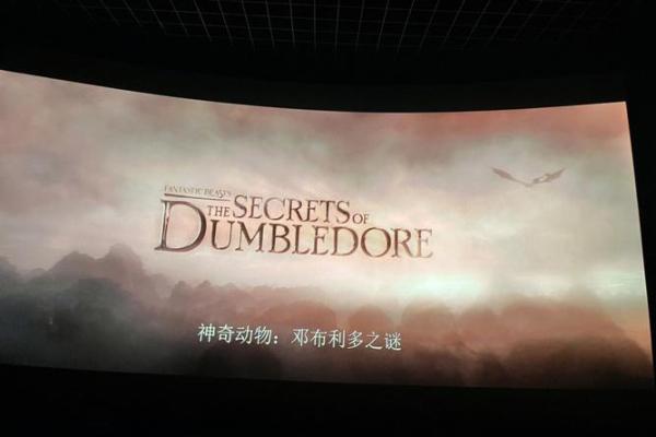 老鼠的命运之谜：揭示它们在自然界中的位置与角色