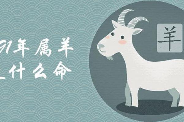 1991年属羊男命解析：性格、职业与感情之路