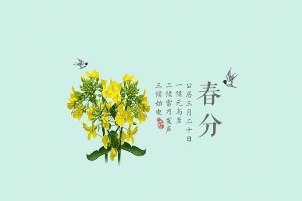龙出生在五点至六点的命运解析，让你的人生更加清晰！