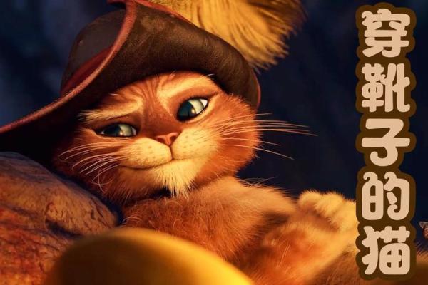 猫咪的九条命：探索神秘与传奇的背后故事