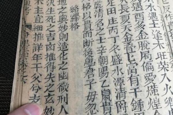 探索1994年10月3日出生命运的奥秘：八字解读与人生启示
