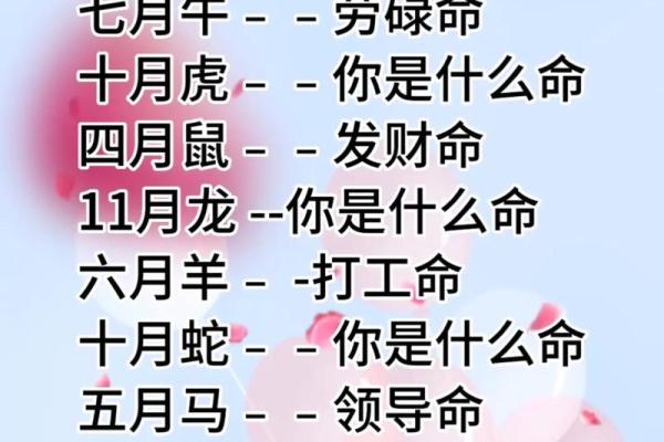 免费最准命格测算，揭秘你的命运真相！