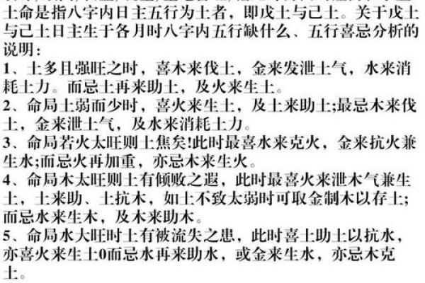 木命与火命的商业合作：如何共同打造成功的生意
