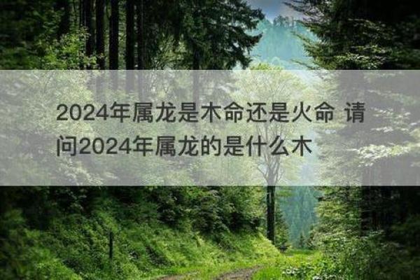 木命与火命的商业合作：如何共同打造成功的生意