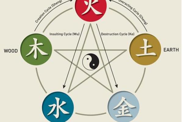 木命人与五行搭配：寻找最佳伴侣与事业伙伴之道