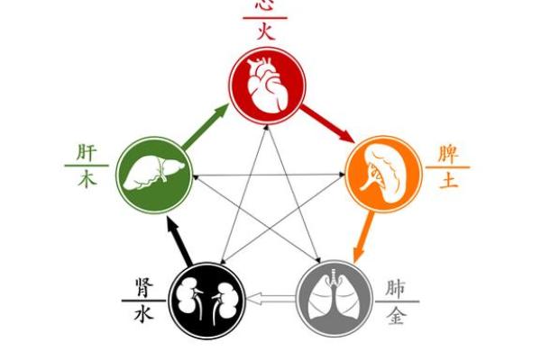 命主五行特性解析：如何利用五行平衡改善生活