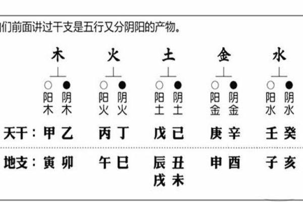 命主五行特性解析：如何利用五行平衡改善生活