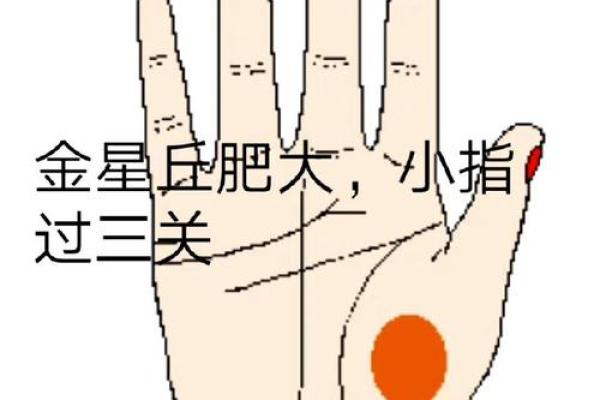 女右手大拇指的秘密：它代表了怎样的命运与个性？