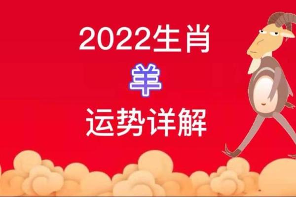 1991年属羊男命解析：命理运势与人生发展之路