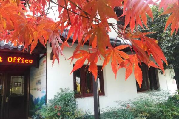 探秘九死一生天子：生肖之谜背后的惊天秘密！