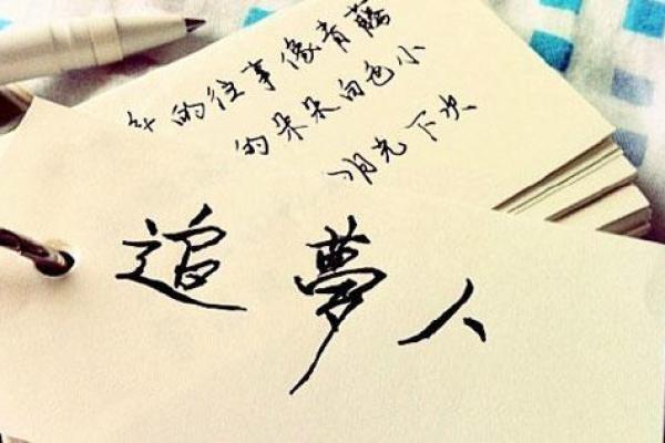 流浪的命运：在不确定中追寻希望与自由的故事