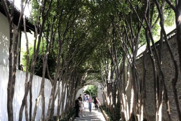 大壮卦之象：勇往直前，成就自我人生的新篇章！