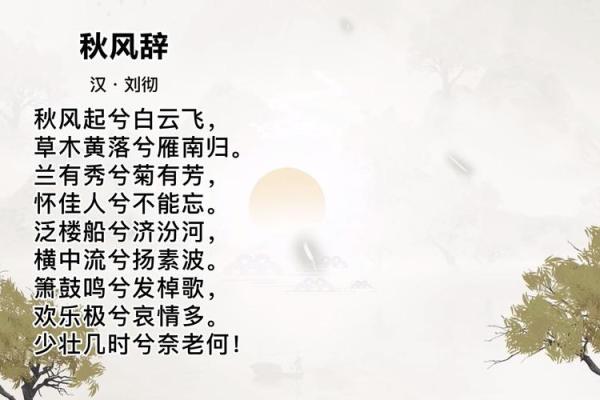 刘彻：汉武帝命格解析与人生轨迹的启示