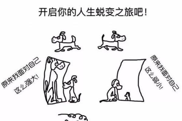 命格带解读：揭示你命运的秘密与人生的可能性