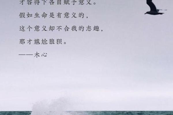 “命”字的深刻启示：探索人生的意义与价值