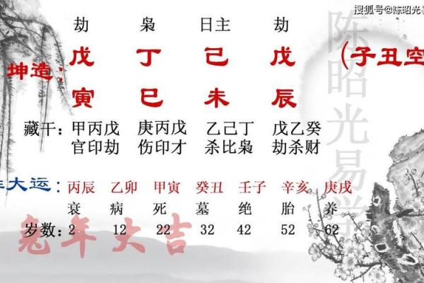 探索女命八字中的正官木：命理中的智慧与启示