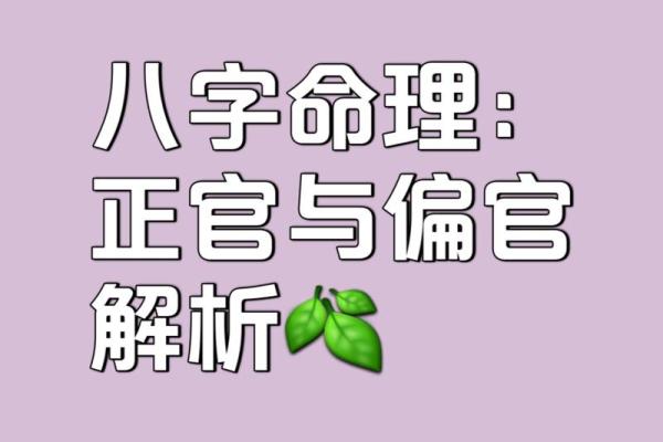 探索女命八字中的正官木：命理中的智慧与启示