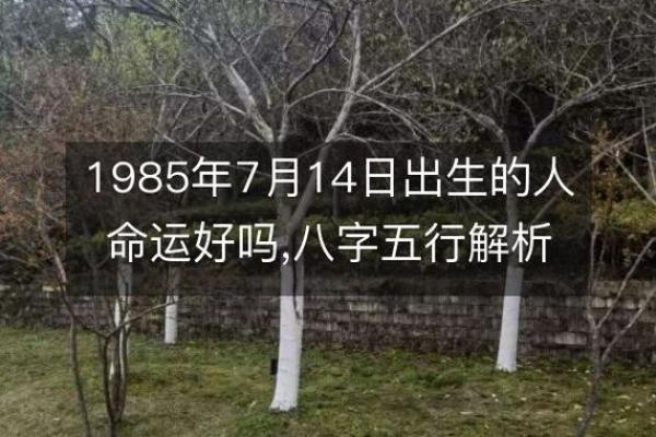 农历三月十四出生：探索命运与个性的奥秘