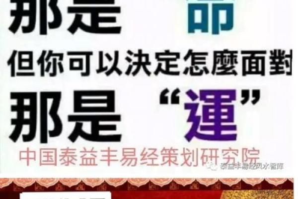 命理大师揭秘：如何通过命理排命，助你掌握人生方向