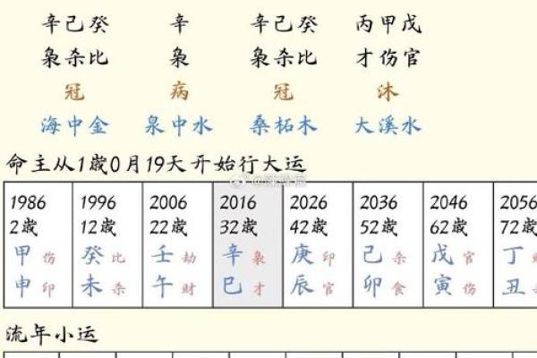 女命伤官富不真，命理分析及人生启示