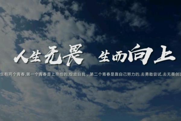 两个金命者的无畏人生：如何无惧一切挑战