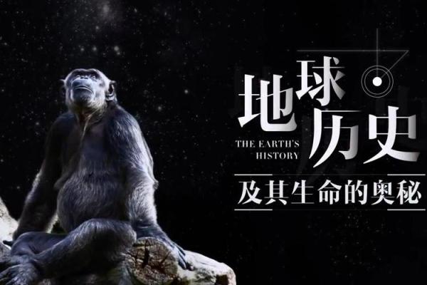 探寻龙历四月十五的命与运，揭示生命的奥秘与智慧