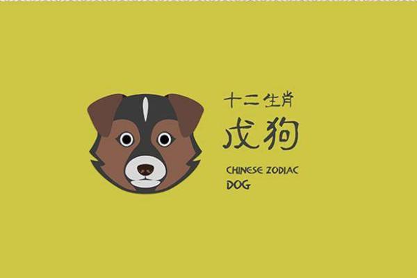 命犯天狗，探索命理中的神秘影响与应对之道