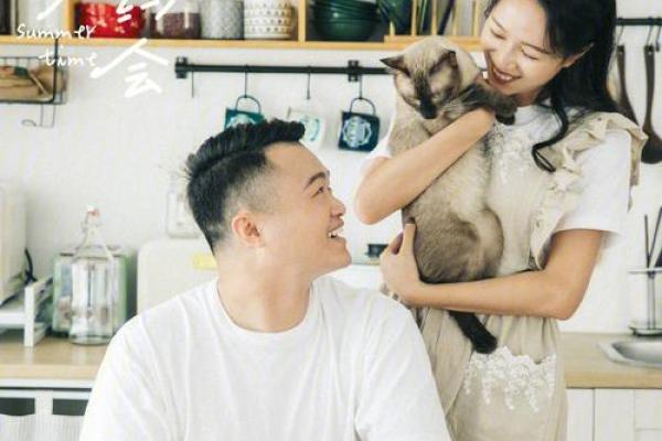 路旁土男命的宠物选择：温暖陪伴与心灵疗愈的最佳搭档
