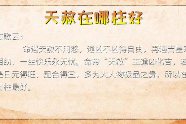 男命日柱带天赦的深意与人生启示