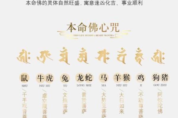 牛年已逝，新生虎年命运解析，让您的财富与运势腾飞！