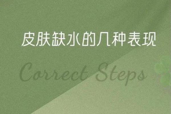 命理缺水的人应该养什么？探寻水的象征与生活滋养