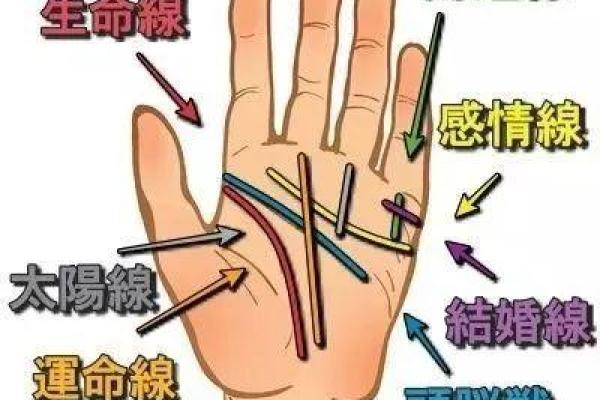 零命与六命的深奥解析——揭开命理智慧的神秘面纱