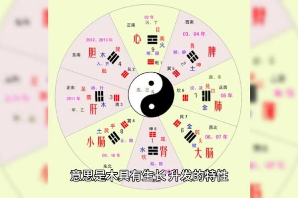 探索命理中的五行：金、木、水、火、土的深刻意义与影响