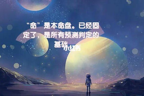 命与运：生肖文化中的深度解析与人生智慧