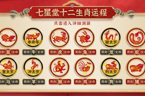 命与运：生肖文化中的深度解析与人生智慧
