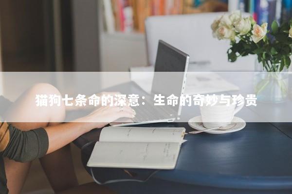 猫狗七条命的深意：生命的奇妙与珍贵