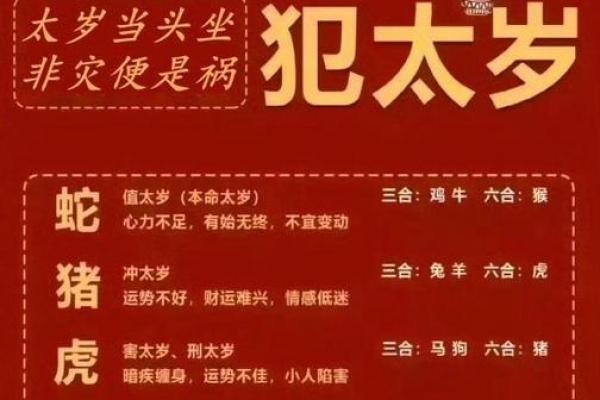 揭秘命犯太岁：你不知道的生肖与运势奥秘