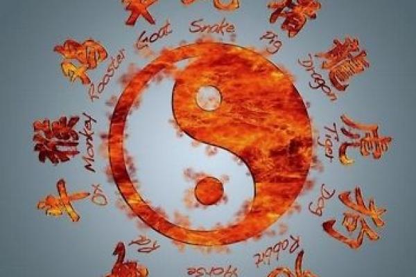 命理揭秘：凤凰之命的神秘与启示