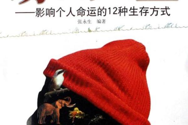 命主星木星相位的奥秘：如何解锁人生的成功之道