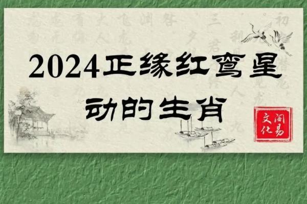 命理解析：财富是命中注定还是后天努力？你怎么看！