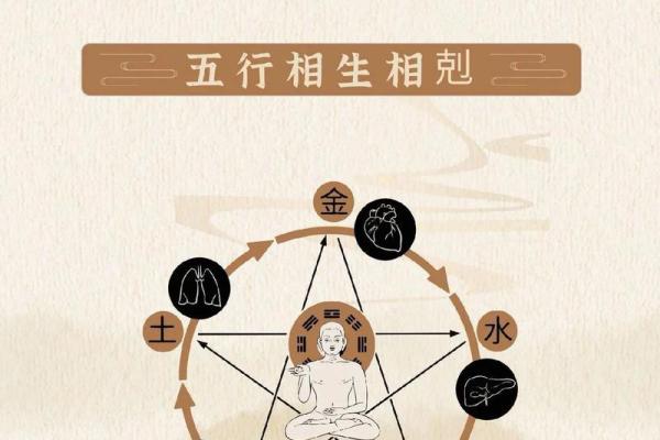 命局中喜水木，探寻五行之美与人生智慧