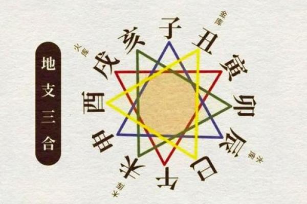 酉的魅力：男命地支酉的深刻内涵与人生启示