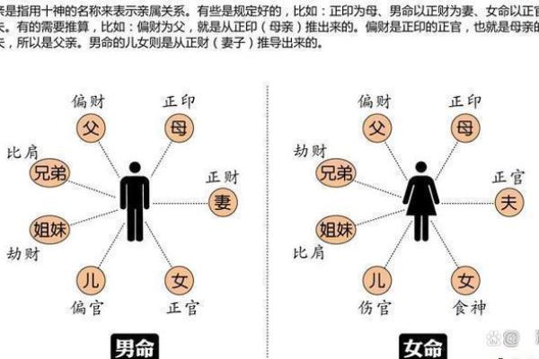 命带七杀旺，探秘其深层次影响与调和方法