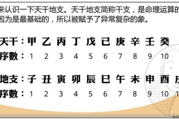 女命八字解析：揭示生活、感情与事业的秘密之窗