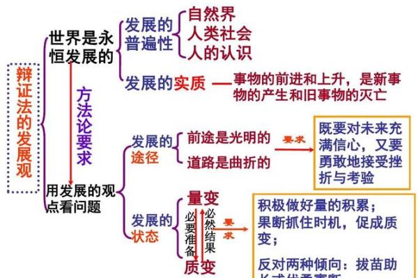 蚂蚁命如草芥：小生命的哲学与启示