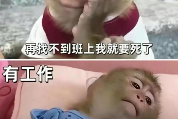 命大有两条命的深刻寓意：人生的挑战与机遇