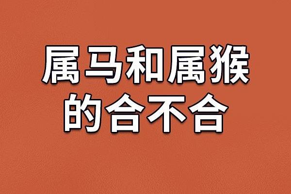 农历90年属马的命运解析：你的生活与性格背后的秘密！