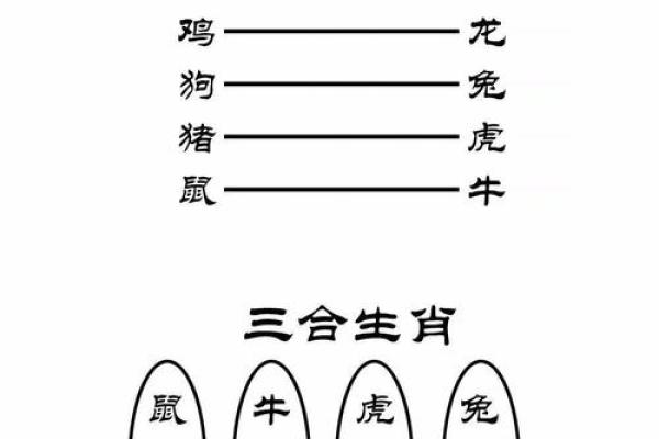 命理与生肖：两手腾空背后的生肖密码解读