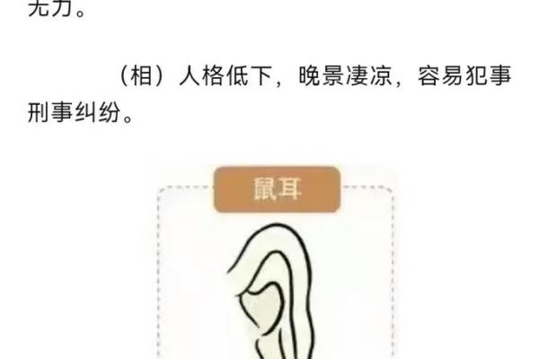 耳朵相面：从耳朵看出人生的秘密与命运