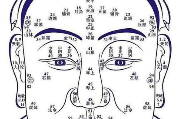 耳朵相面：从耳朵看出人生的秘密与命运